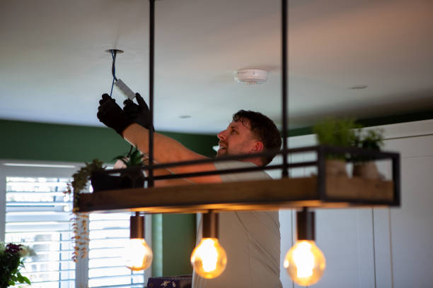 Best Home Electrical Repair  in Homer, MI